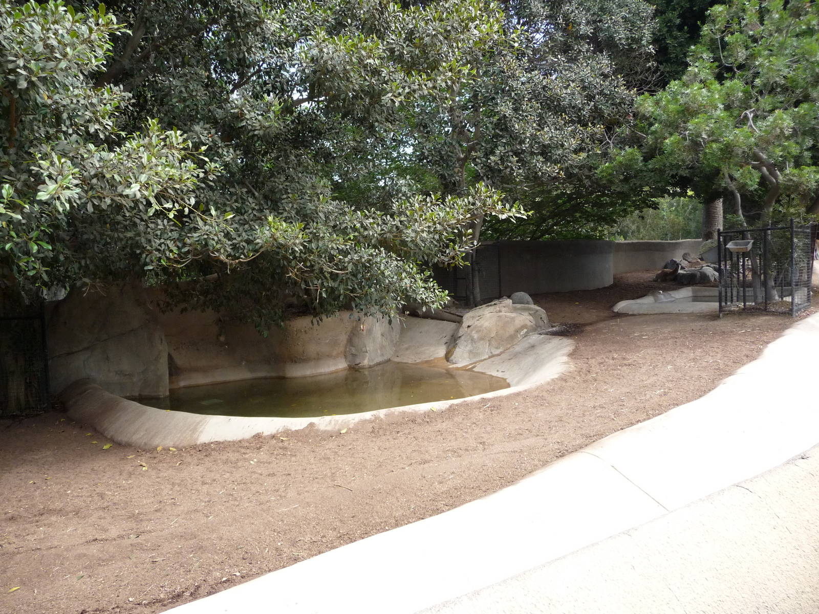 San Diego Zoo - Baird's Tapir/Capybara/Guanaco Exhibit