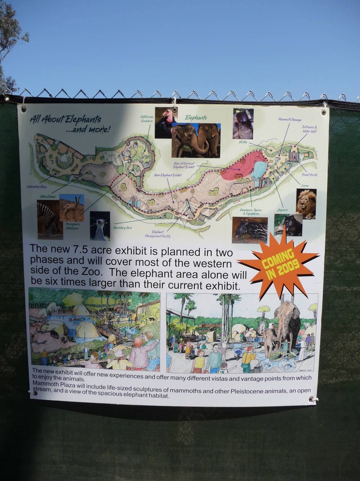 San Diego Zoo - Elephant Odyssey Sign