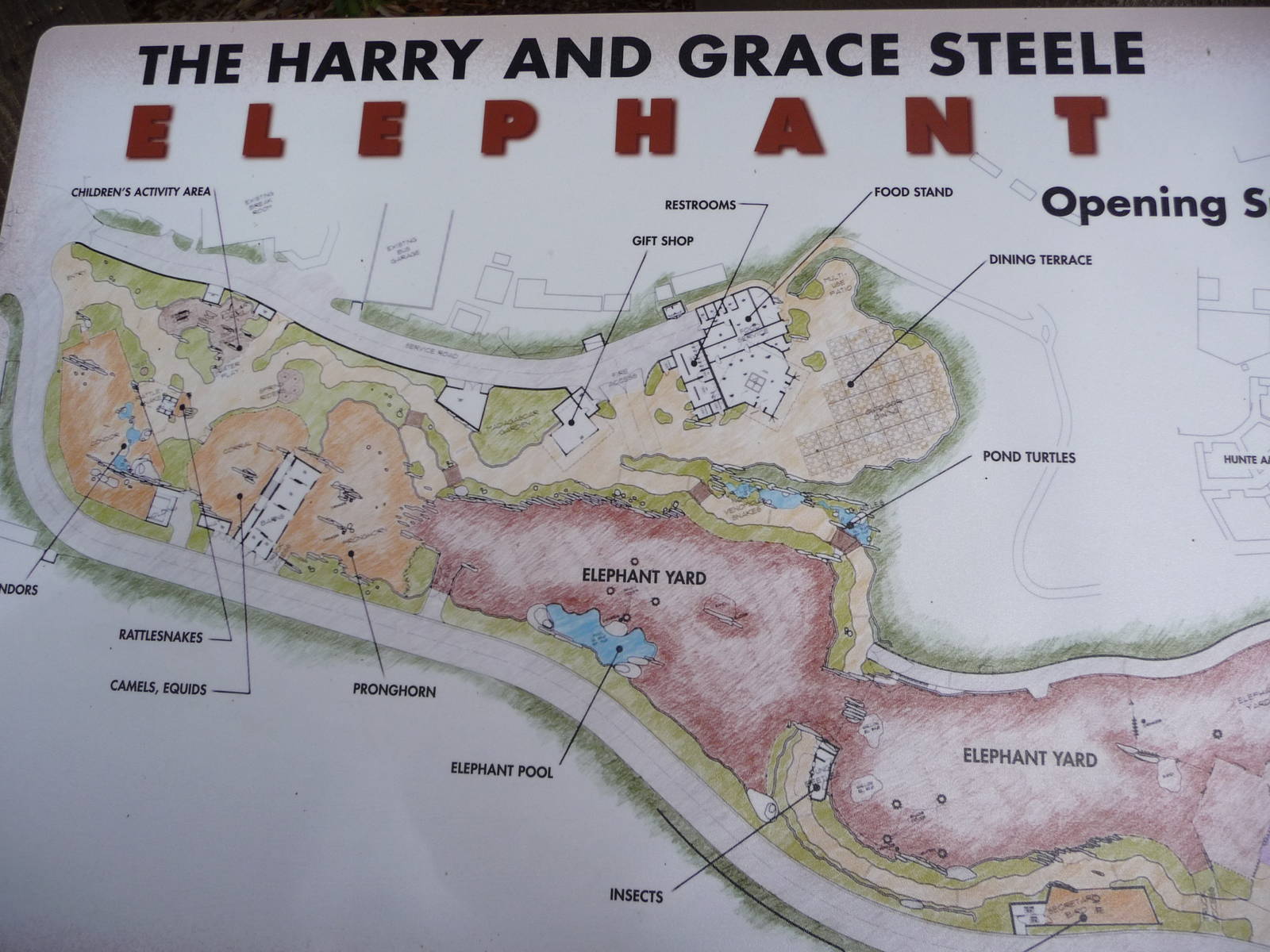 San Diego Zoo - Elephant Odyssey