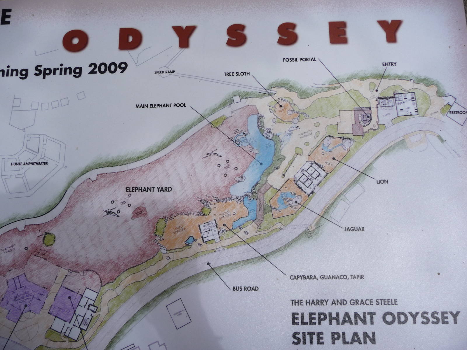 San Diego Zoo - Elephant Odyssey