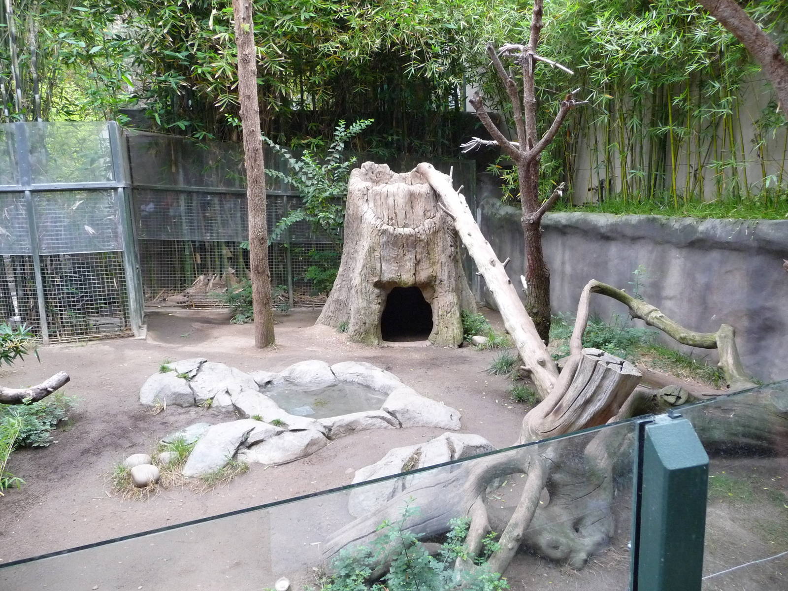 San Diego Zoo - Giant Panda Exhibit