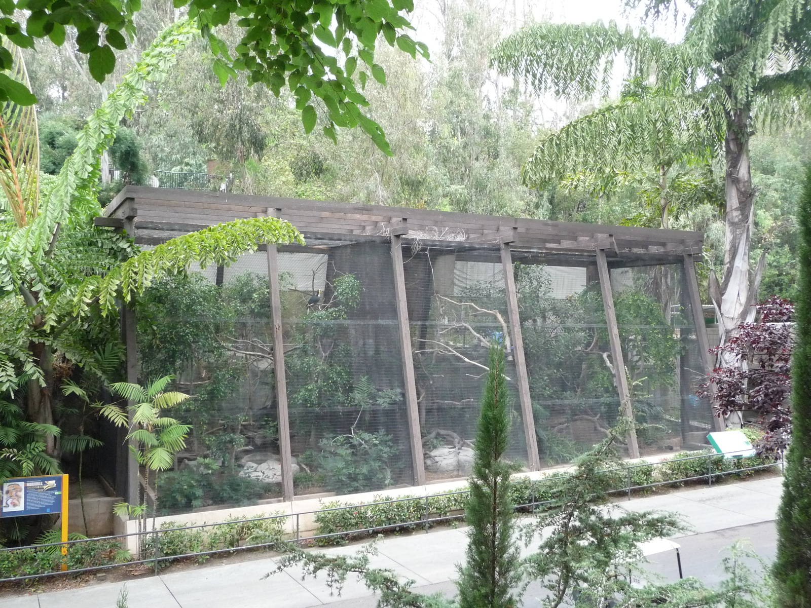 San Diego Zoo - Hornbill Exhibits