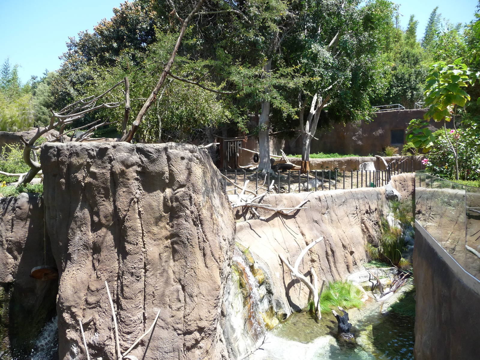 San Diego Zoo - Ituri Forest
