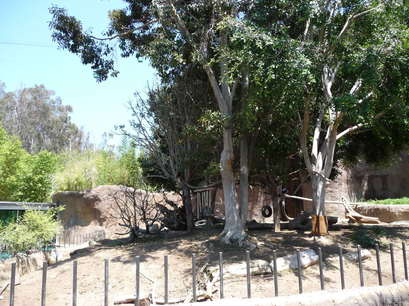 San Diego Zoo - Ituri Forest