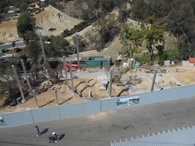 San Diego Zoo mountain lion exhibit construction March 2014