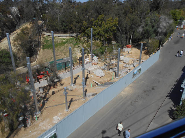 San Diego Zoo mountain lion exhibit construction March 2014