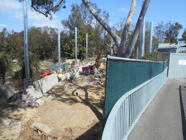San Diego Zoo mountain lion exhibit construction March 2014