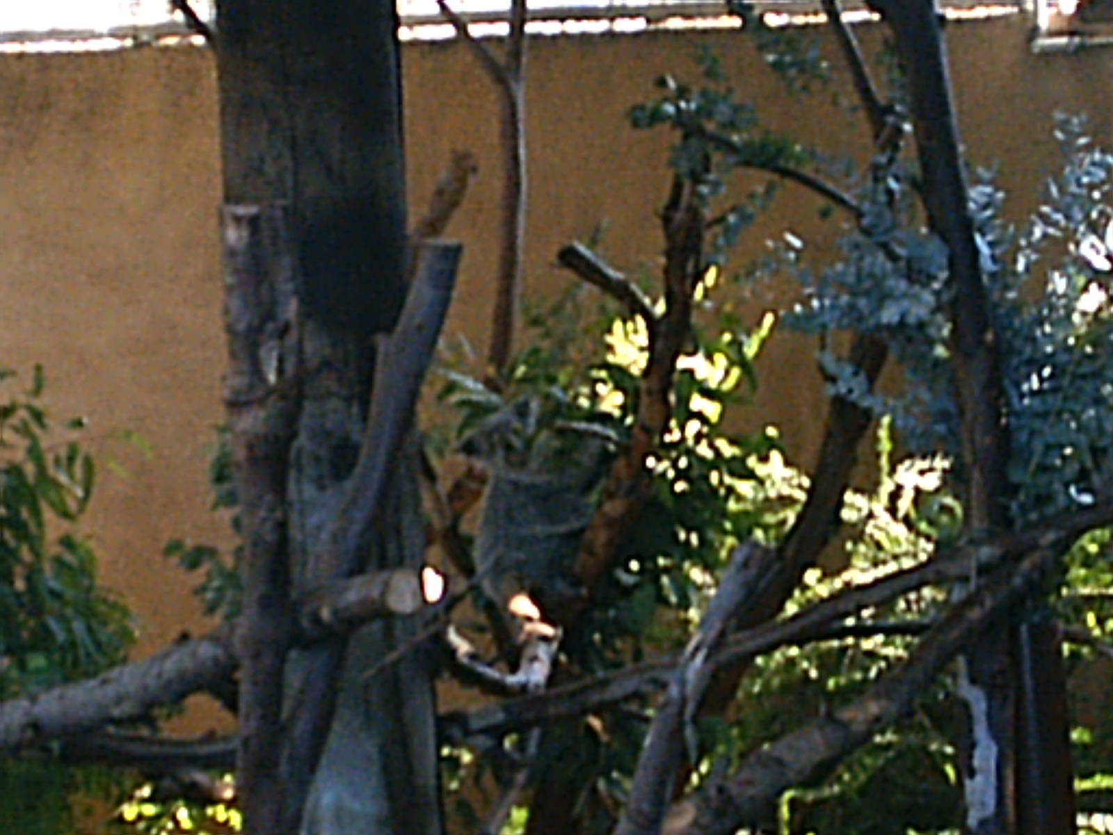 San Diego Zoo October 2008