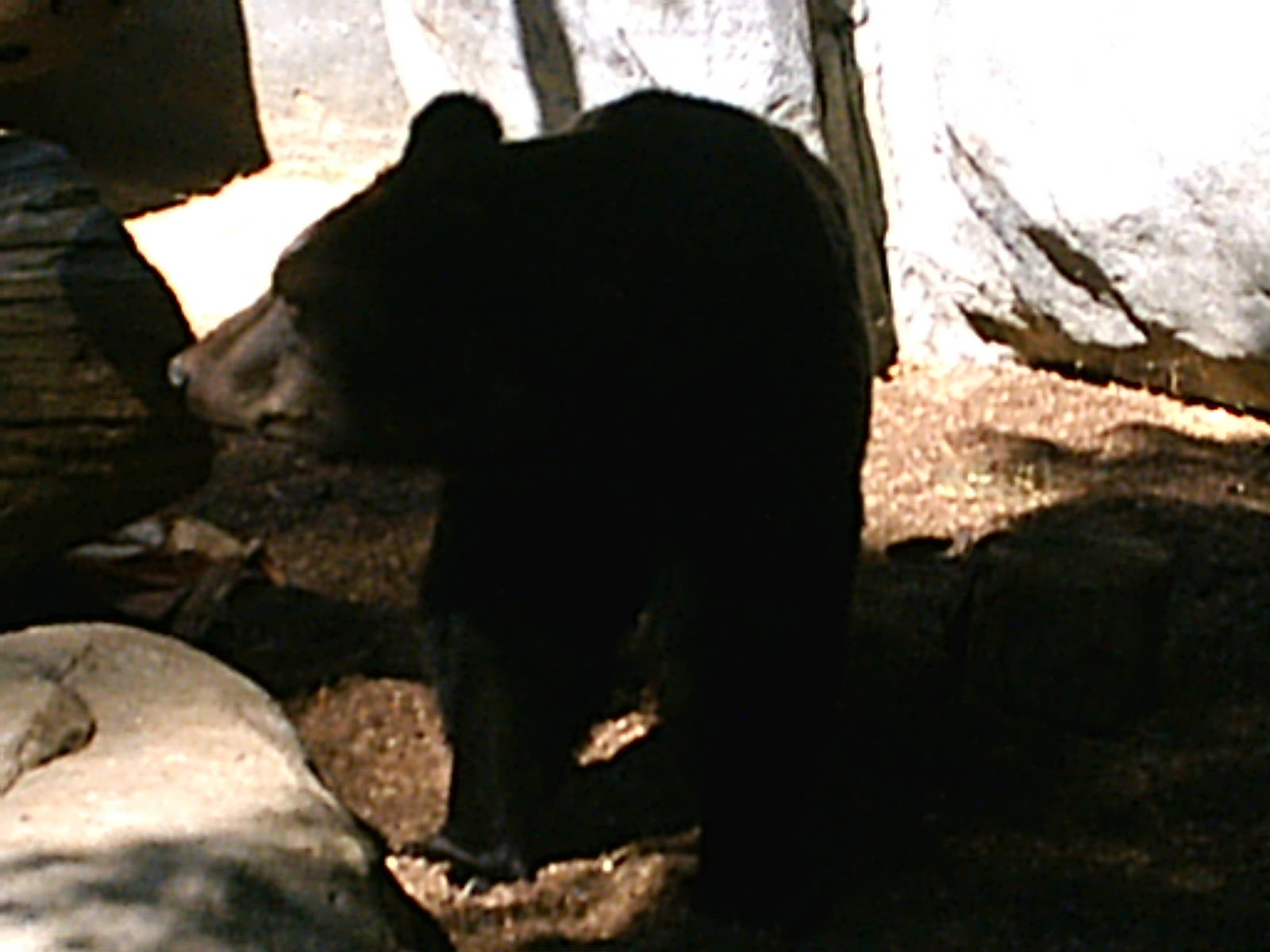 San Diego Zoo October 2008
