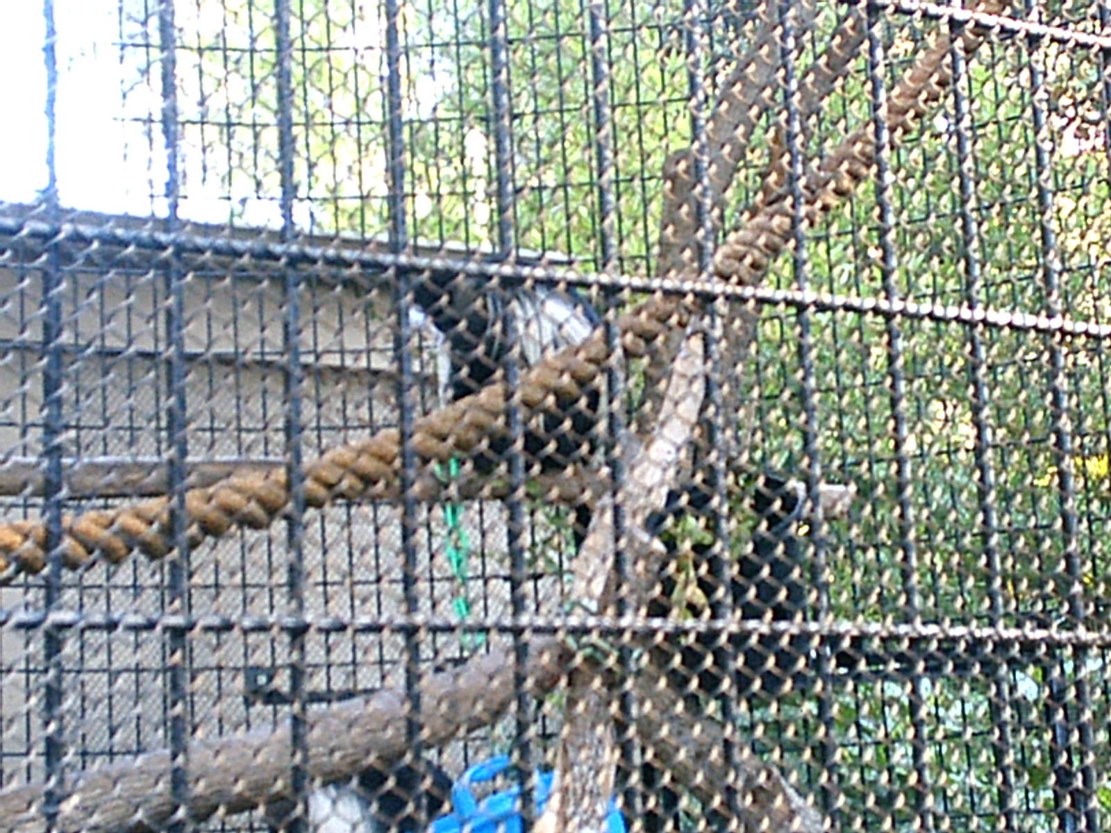 San Diego Zoo October 2008