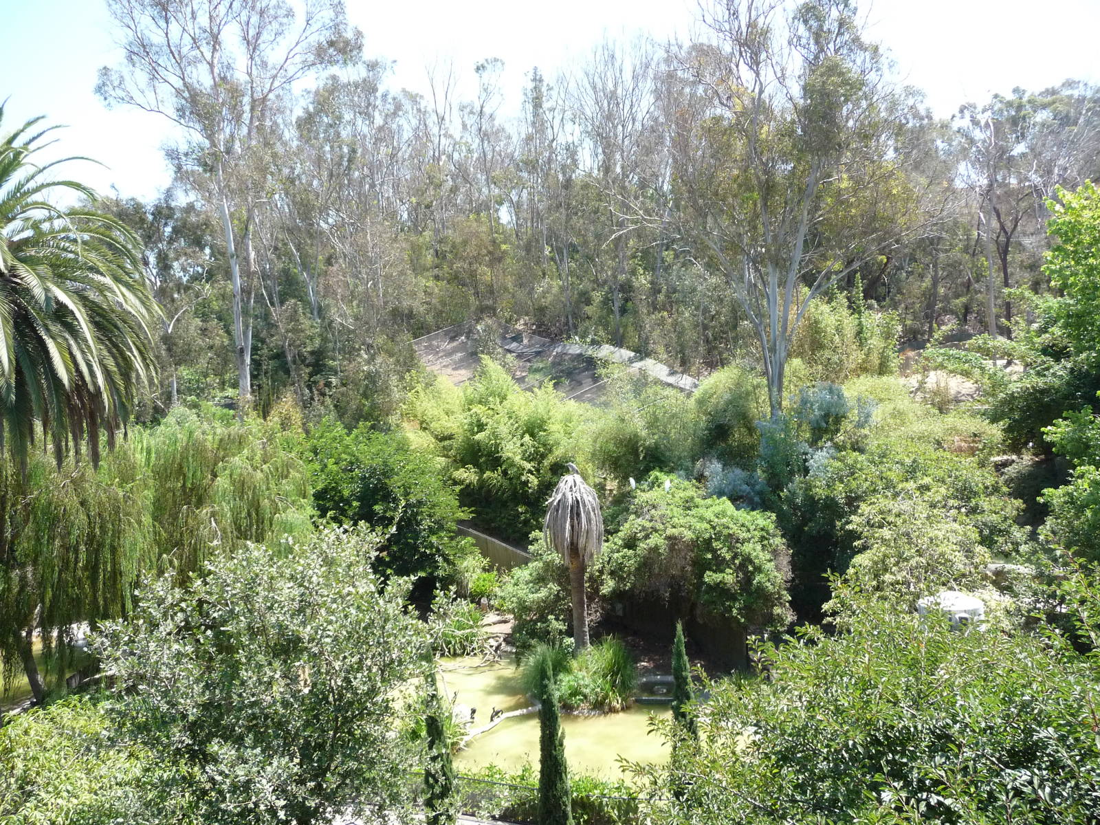 San Diego Zoo -Overview