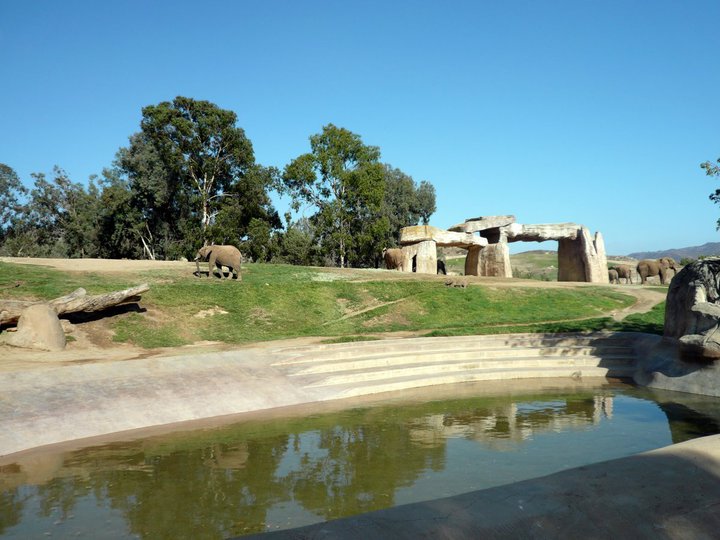 San Diego Zoo Safari Park 24.09.2010