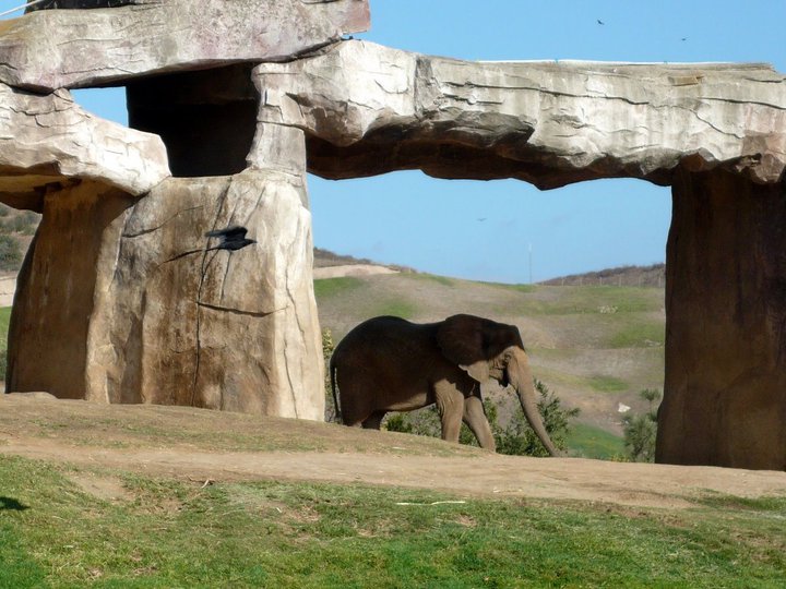 San Diego Zoo Safari Park 24.09.2010