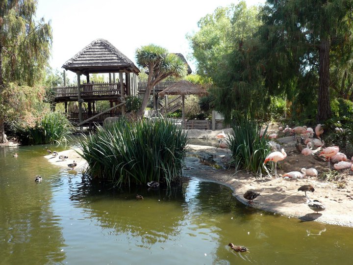 San Diego Zoo Safari Park 24.09.2010