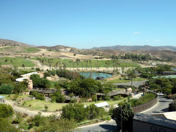 San Diego Zoo Safari Park 24.09.2010