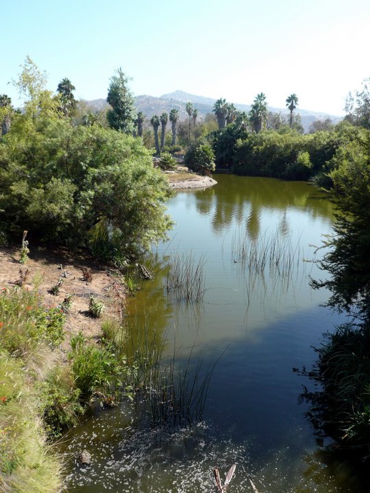 San Diego Zoo Safari Park 24.09.2010