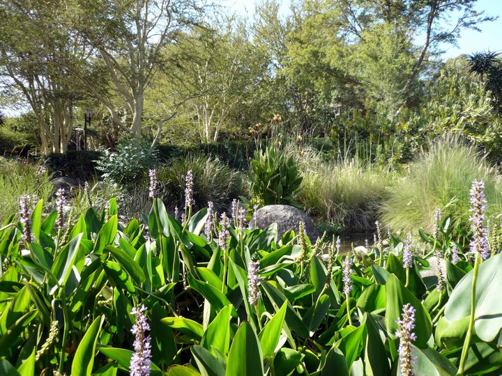 San Diego Zoo Safari Park 24.09.2010