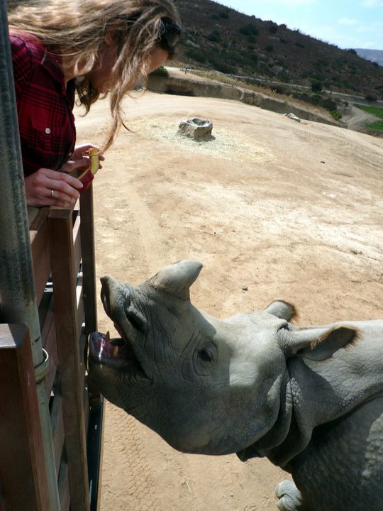 San Diego Zoo Safari Park 24.09.2010