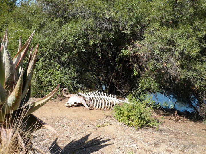 San Diego Zoo Safari Park 24.09.2010