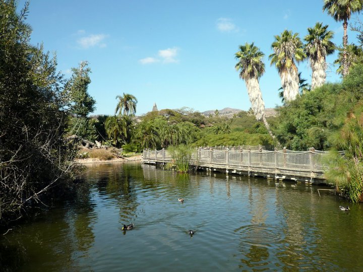 San Diego Zoo Safari Park 24.09.2010