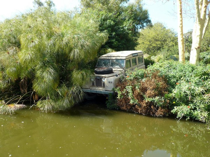 San Diego Zoo Safari Park 24.09.2010