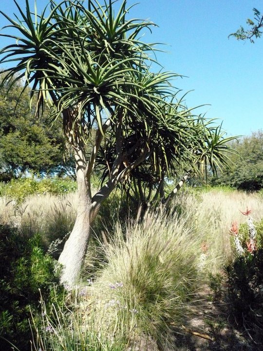 San Diego Zoo Safari Park 24.09.2010