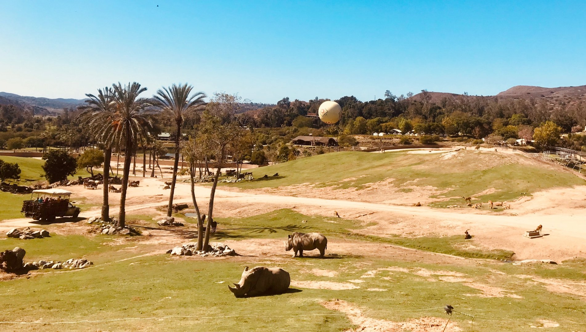 San Diego zoo Safari Park-African plains overview