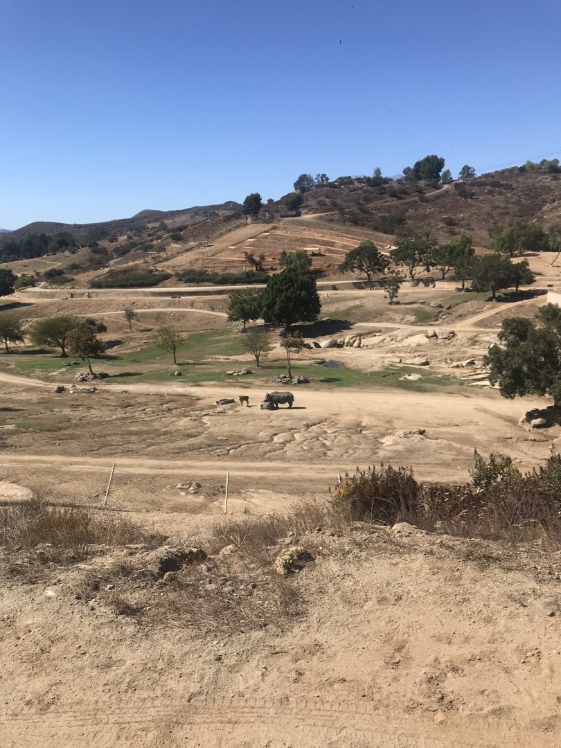 San Diego zoo Safari Park-Asian savanna