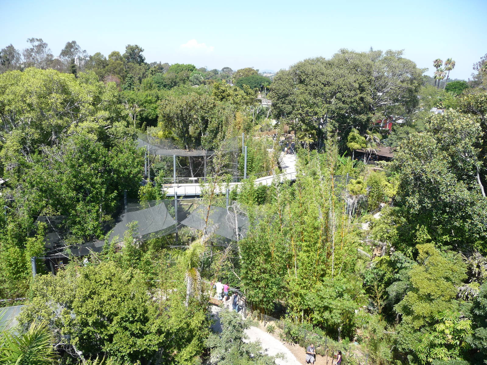 San Diego Zoo - Skyfari Overview