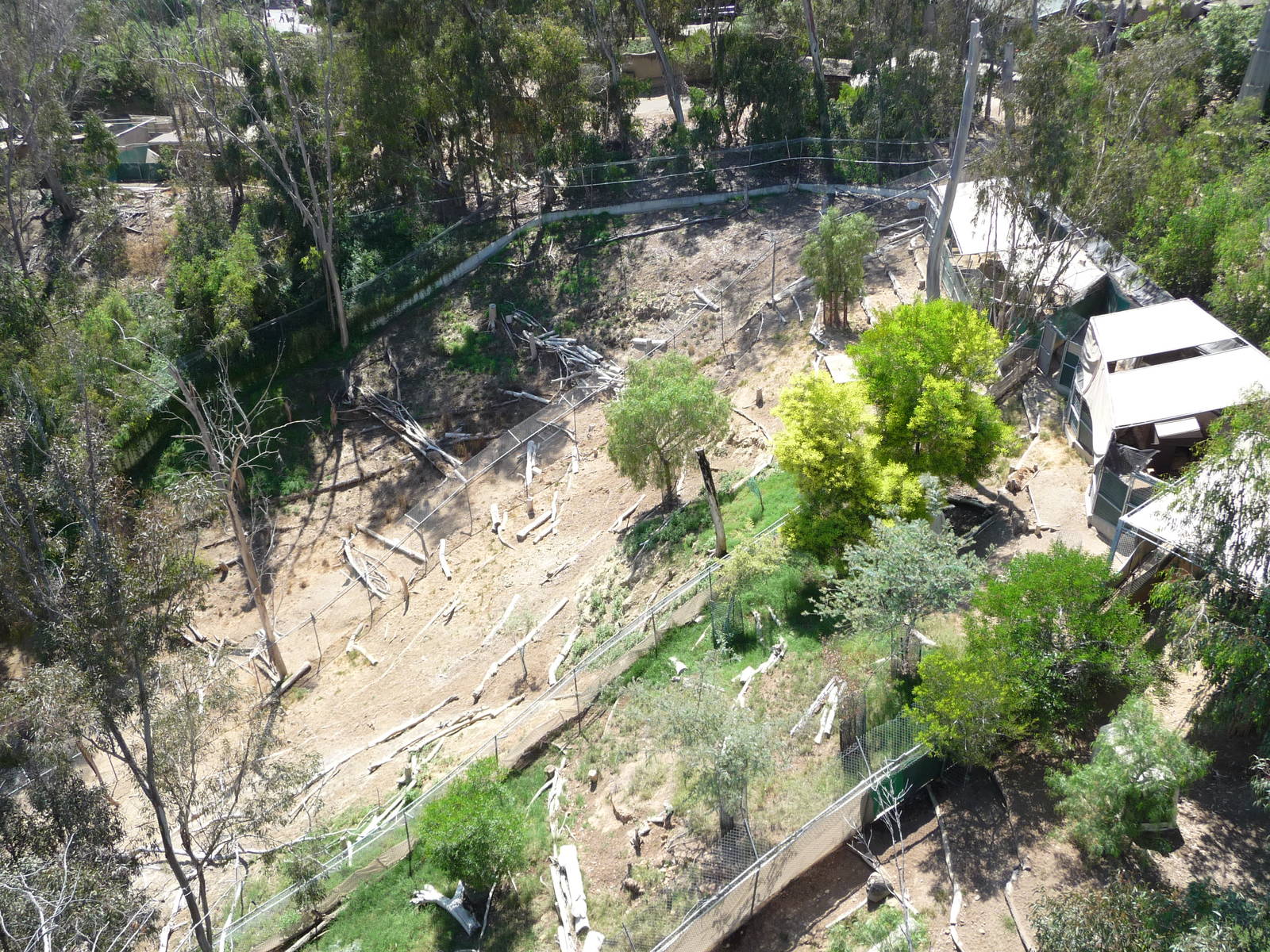 San Diego Zoo - Skyfari Overview