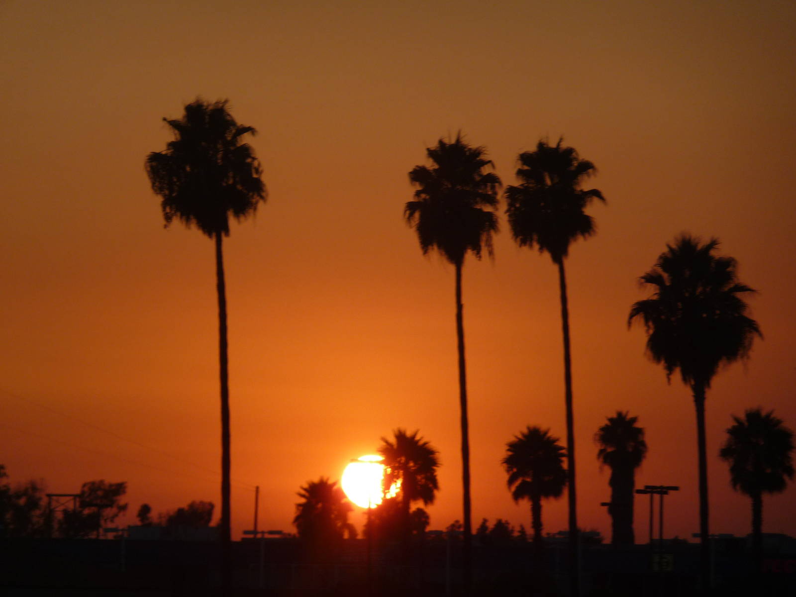 San Diego Zoo - Sunset
