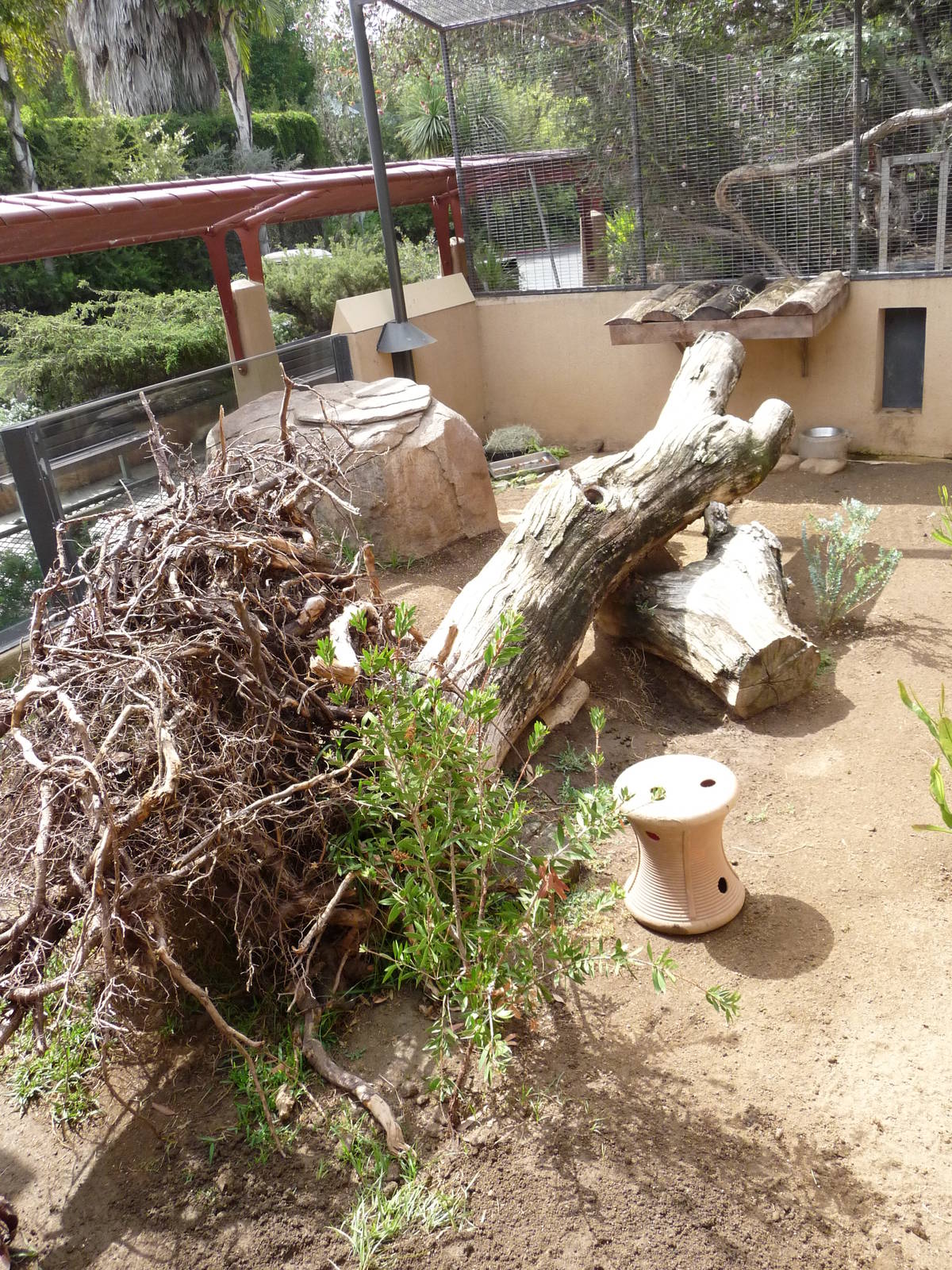 San Diego Zoo - Wombat Exhibit
