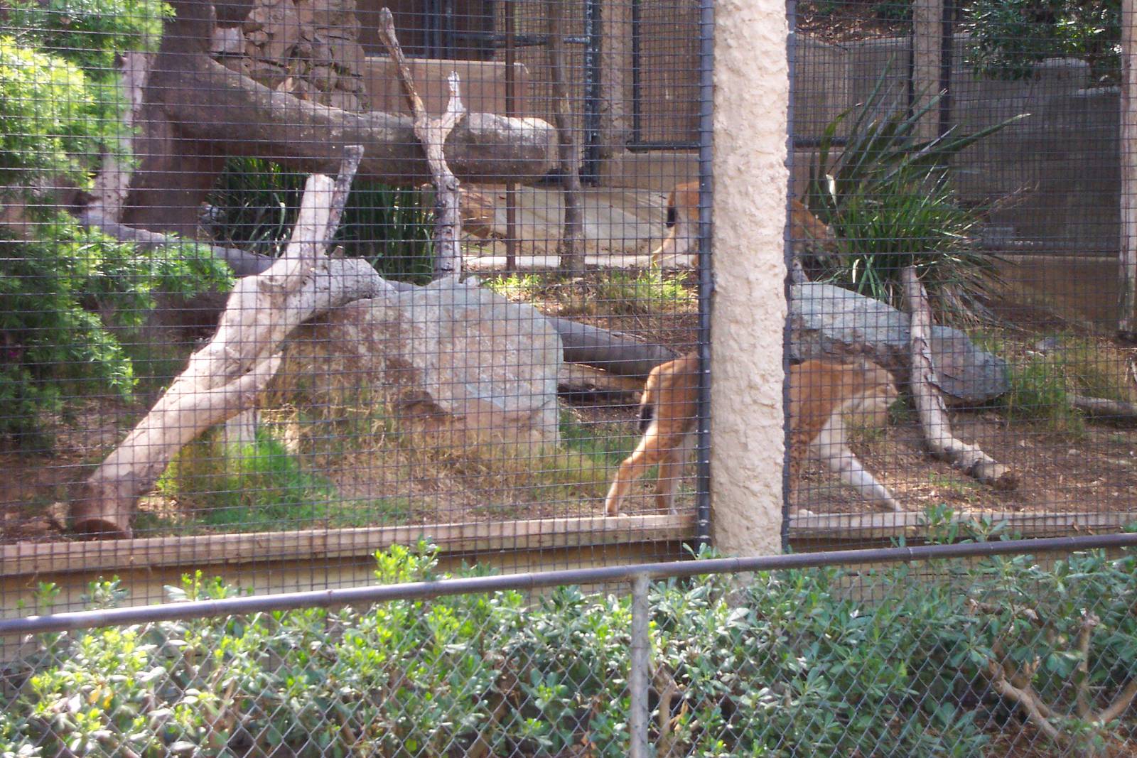 San Diego zoo