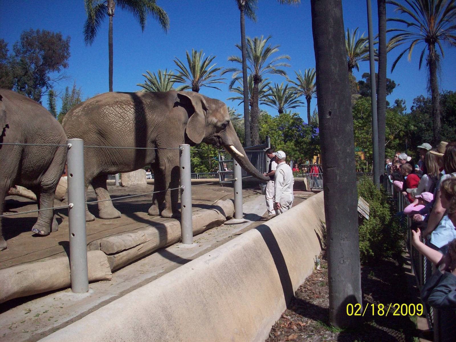 San Diego Zoo