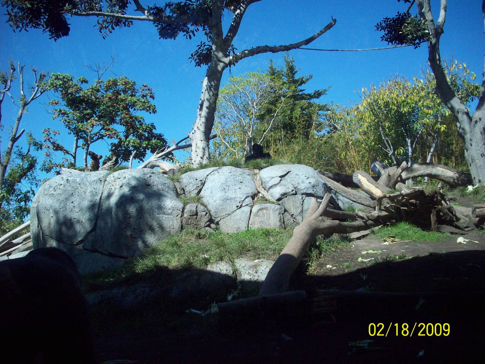 San Diego Zoo