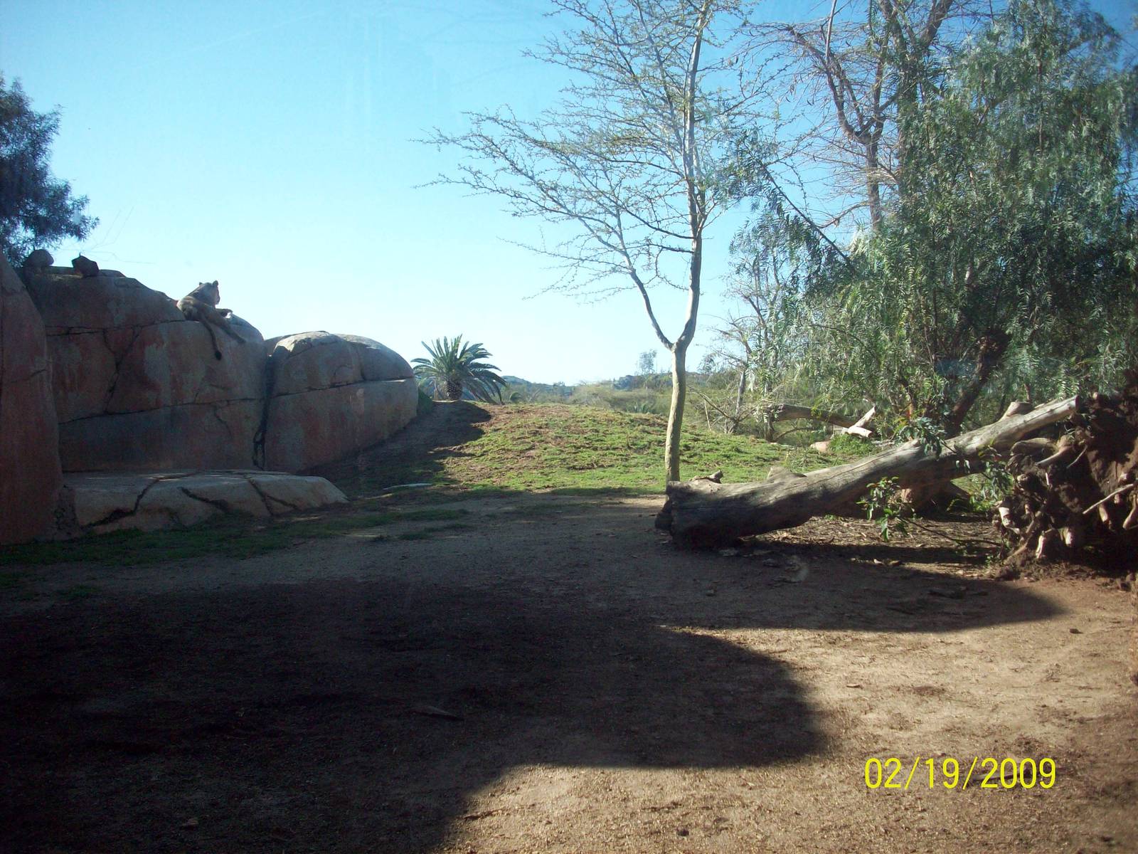 San Diego Zoo's Wild Animal Park
