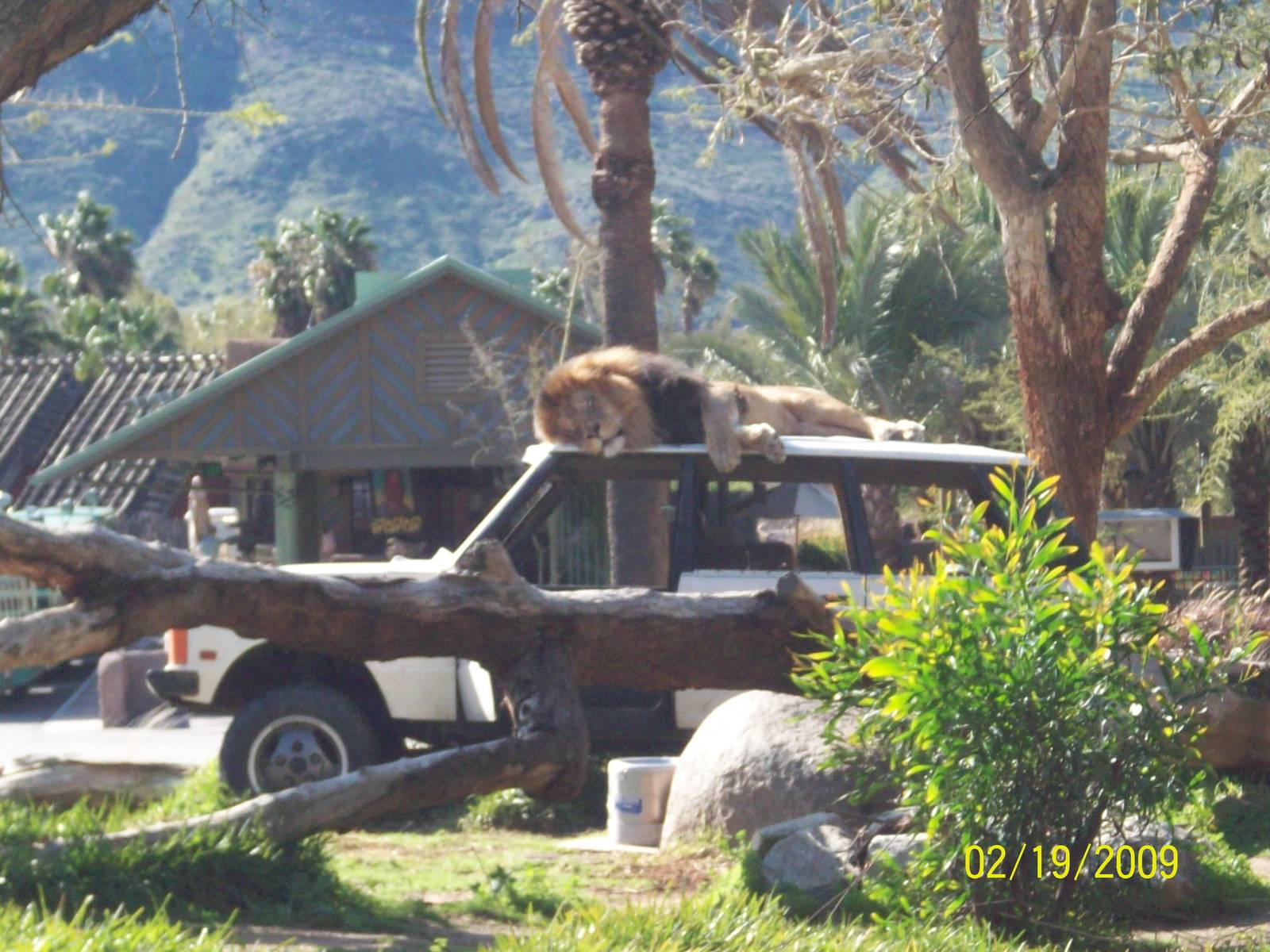 San Diego Zoo's Wild Animal Park