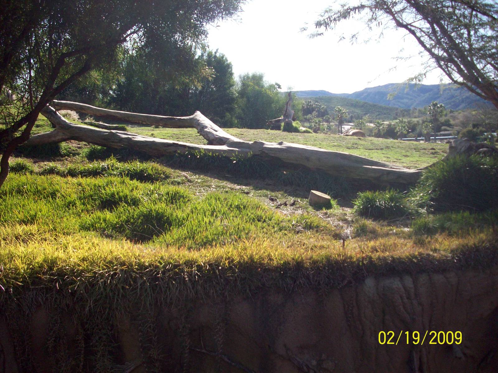 San Diego Zoo's Wild Animal Park