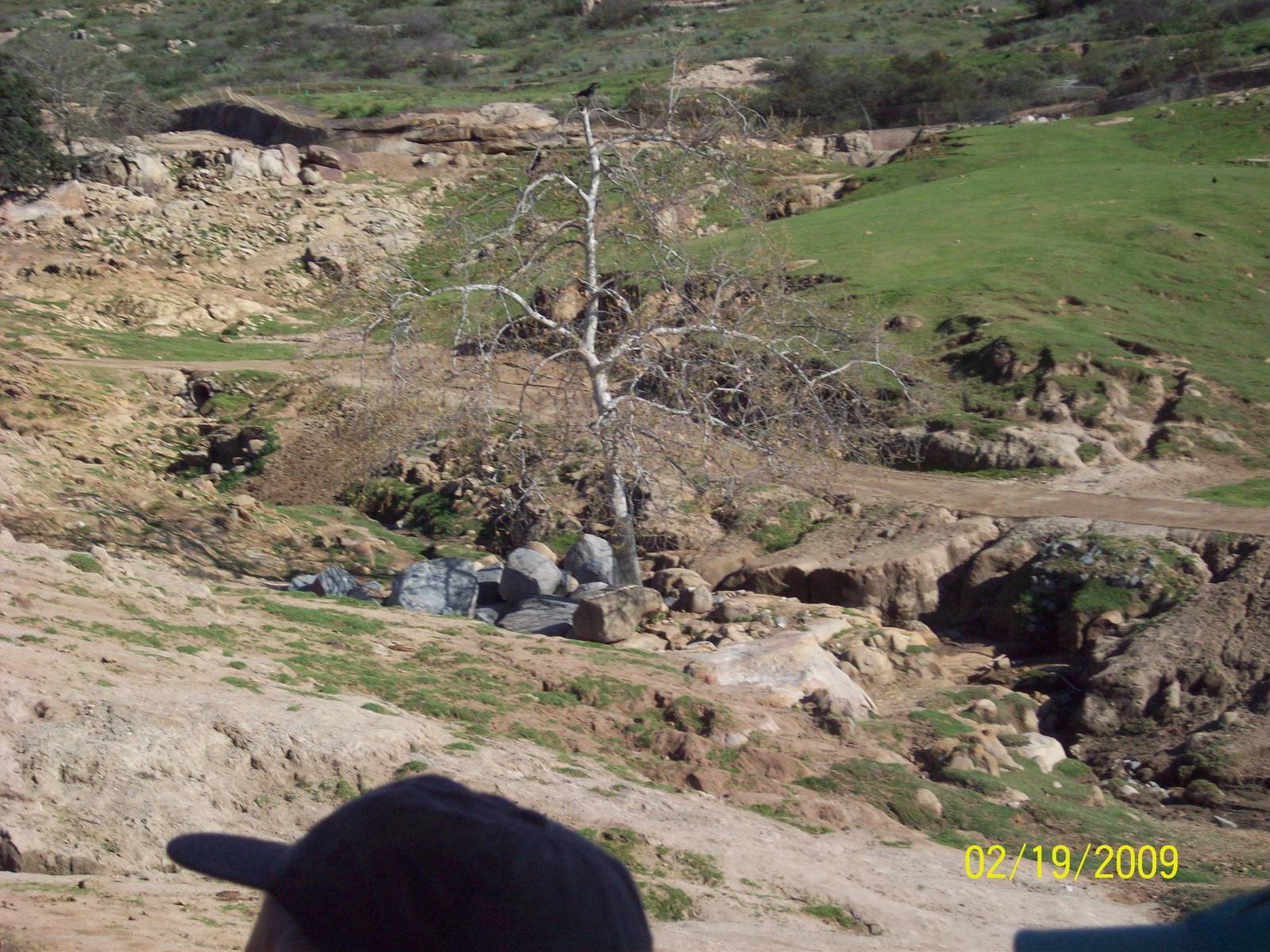 San Diego Zoo's Wild Animal Park