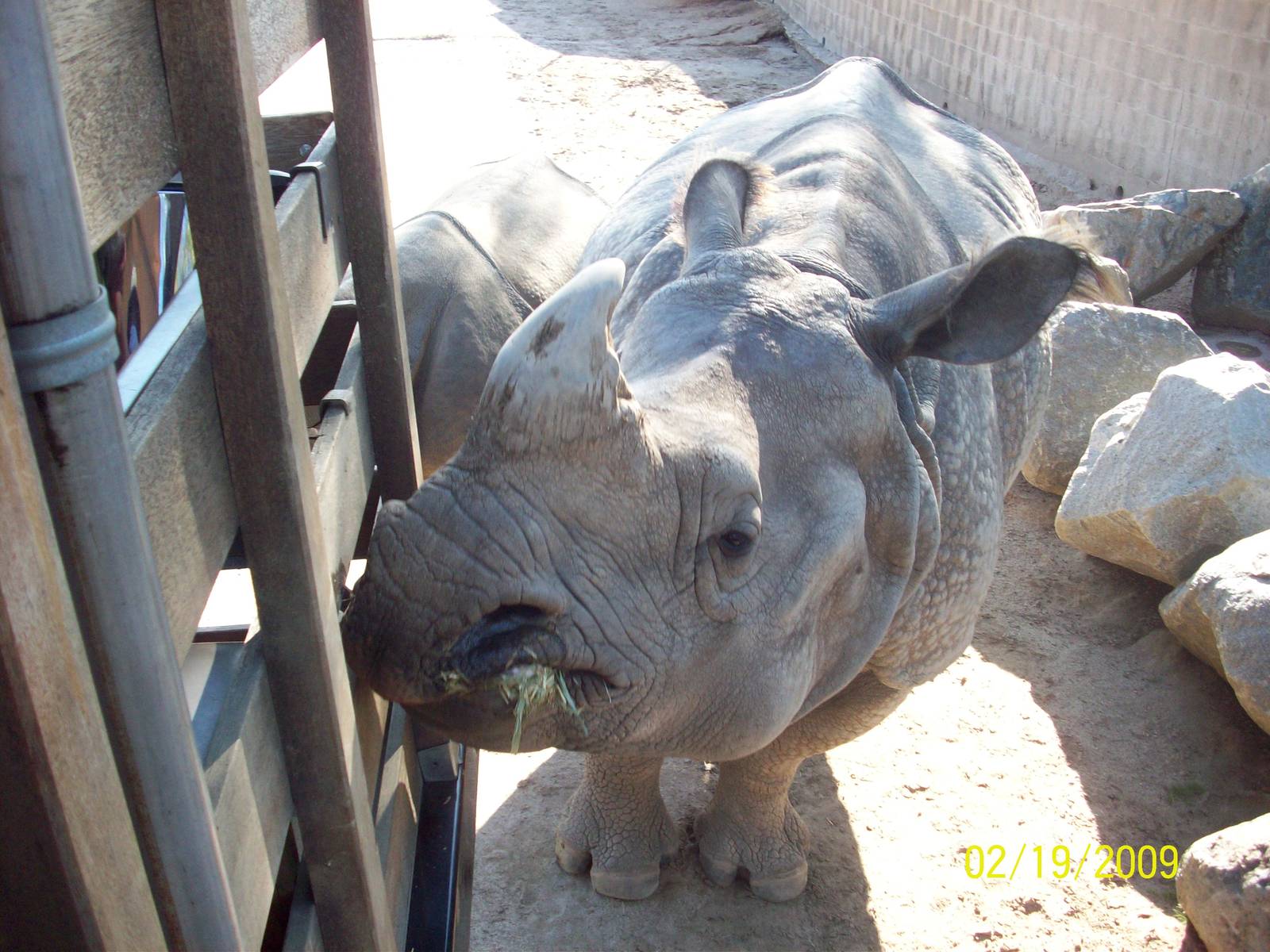San Diego Zoo's Wild Animal Park