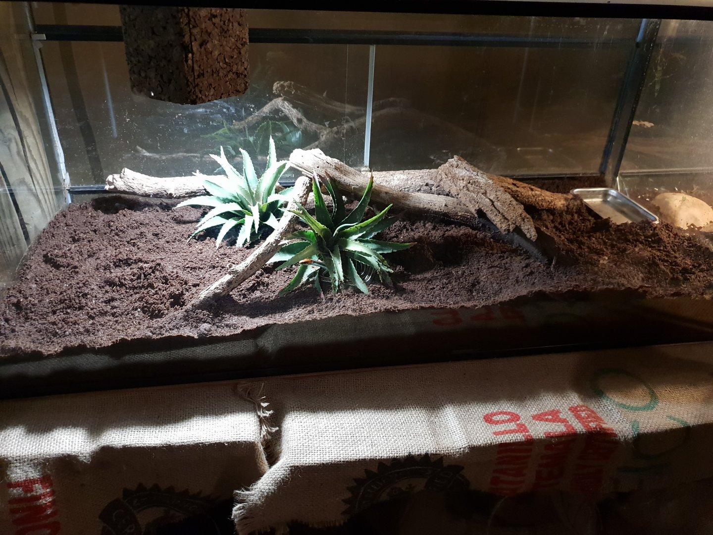 San Francisco garter snake enclosure