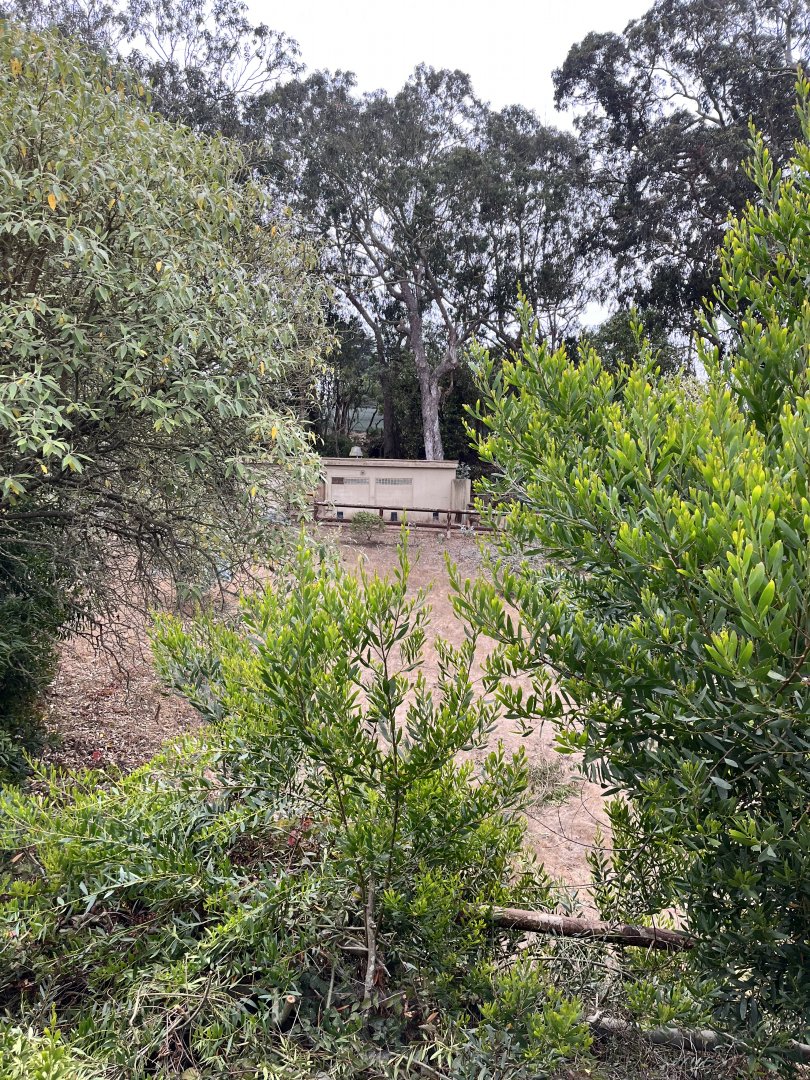 san francisco zoo unused enclosure