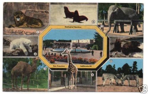 San Francisco Zoo