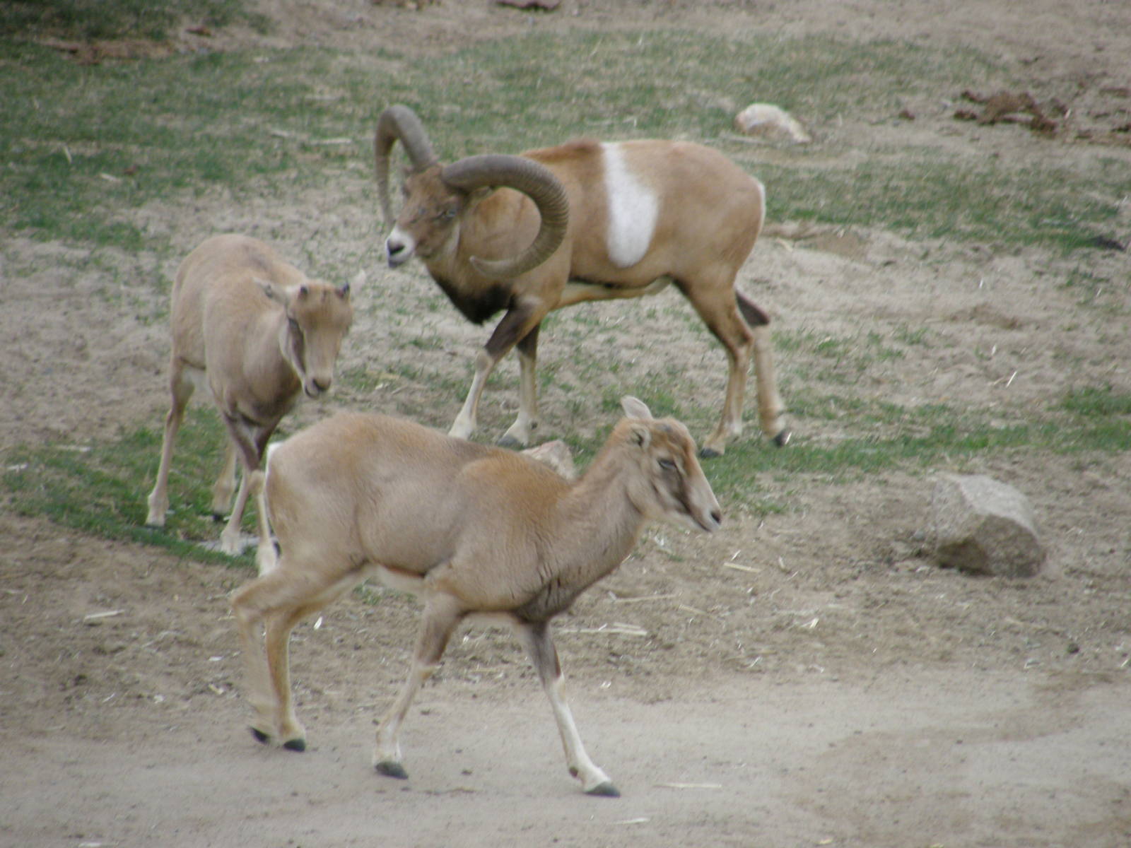 san_diego_2009_set_2_138