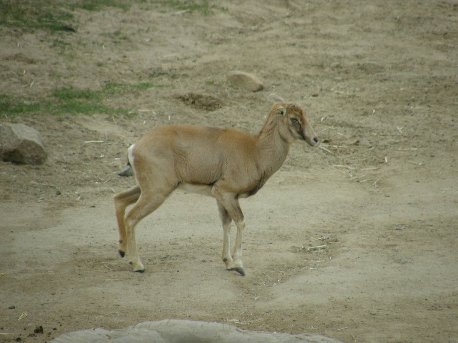 san_diego_2009_set_2_139