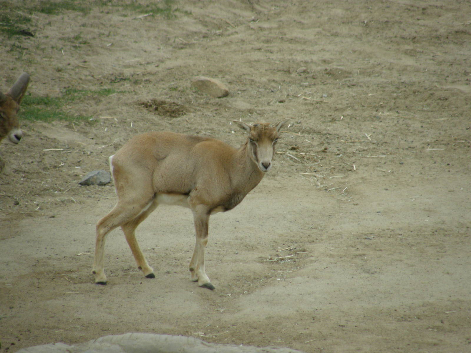 san_diego_2009_set_2_140