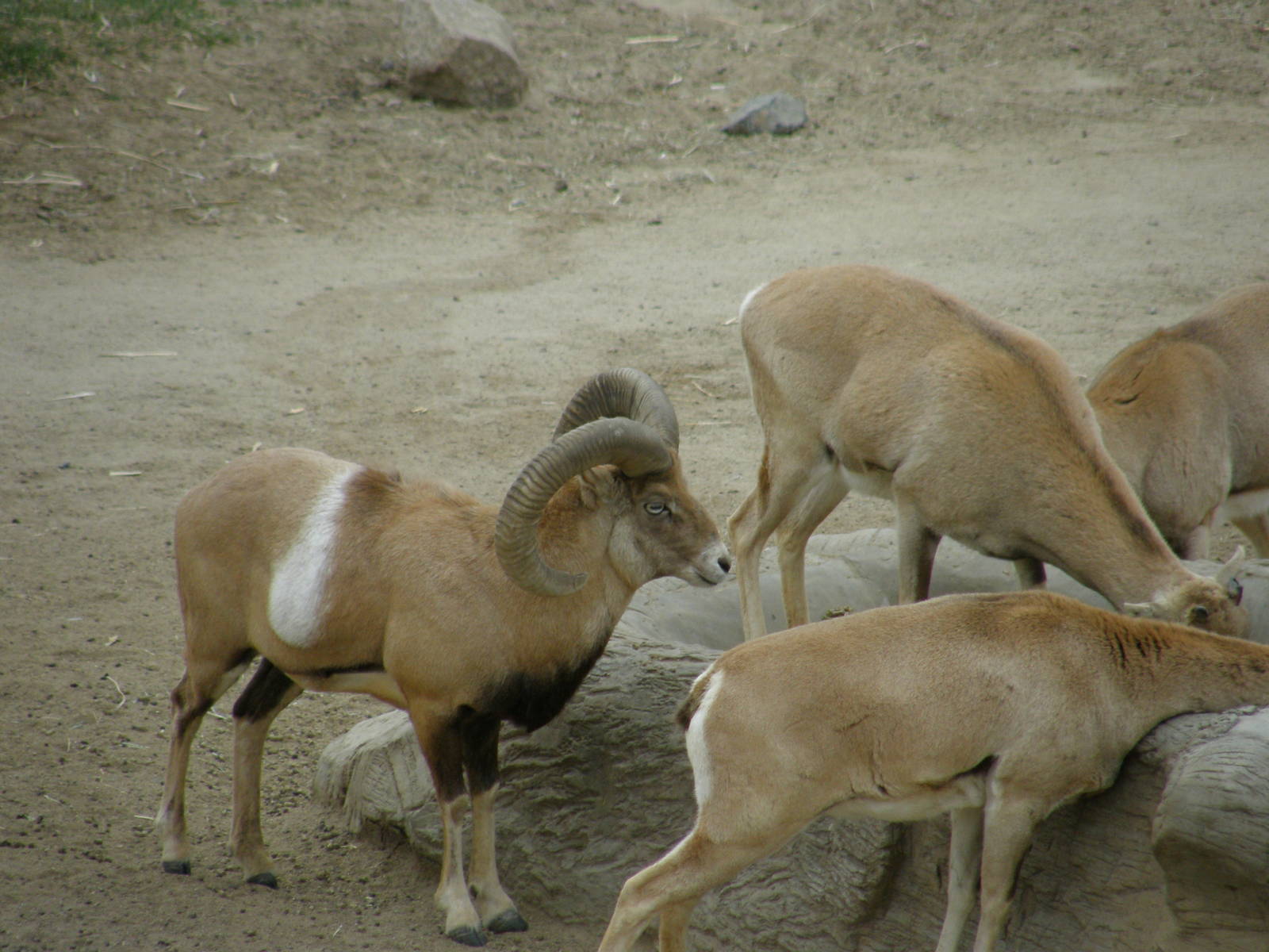 san_diego_2009_set_2_143