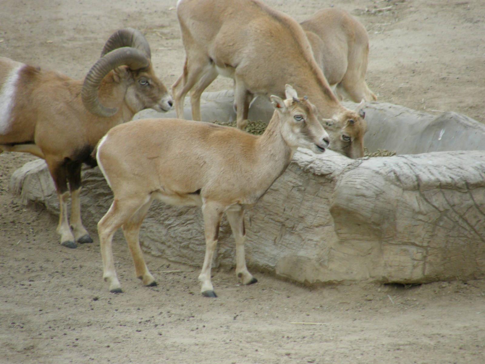 san_diego_2009_set_2_144