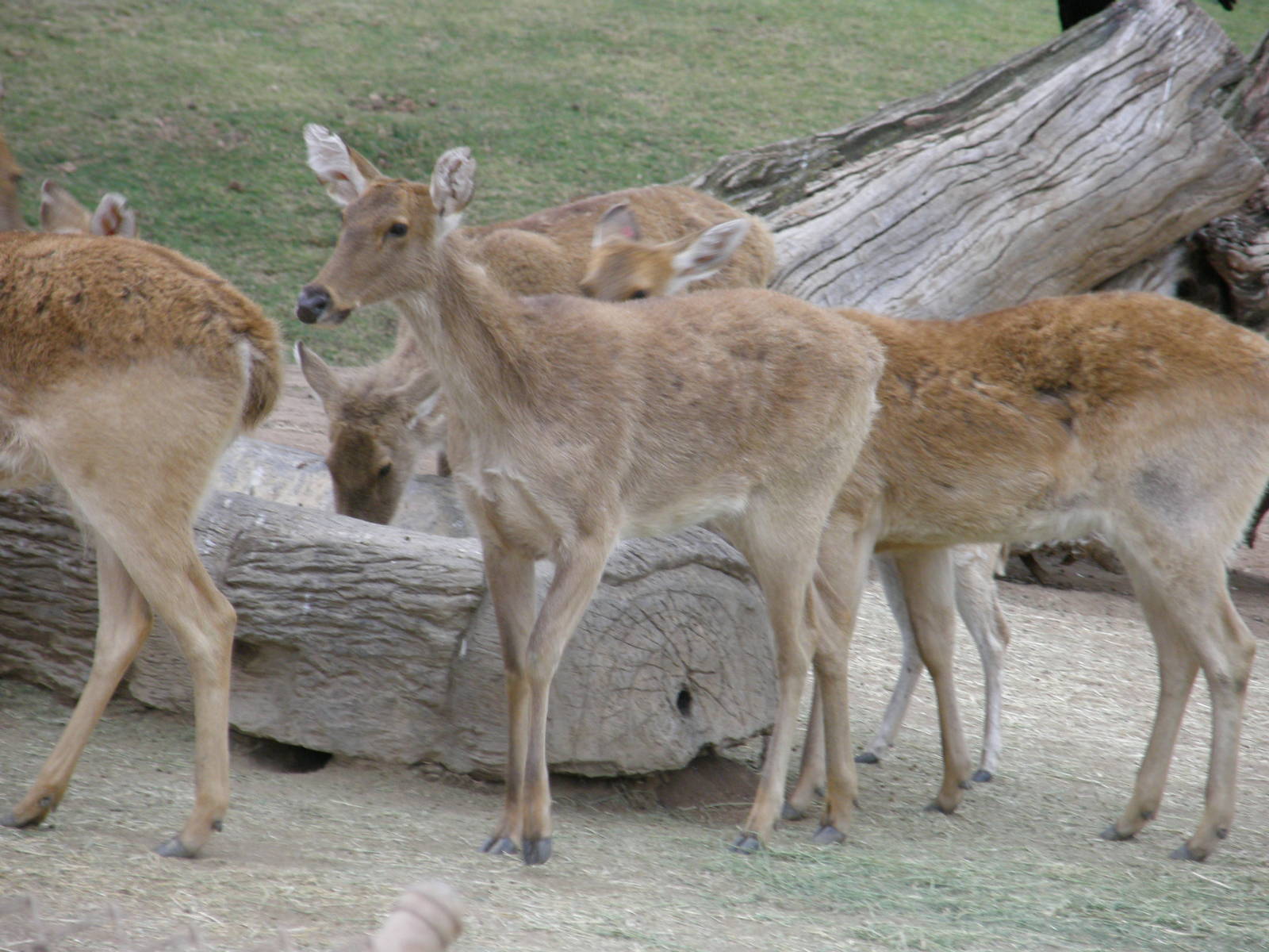 san_diego_2009_set_2_167