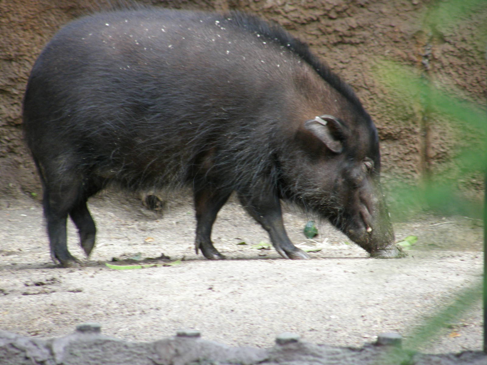 san_diego_2009_set_2_265